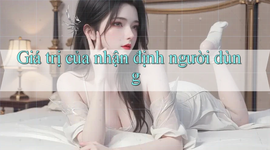 Giá trị của nhận định người dùng Giá trị của nhận định người dùng