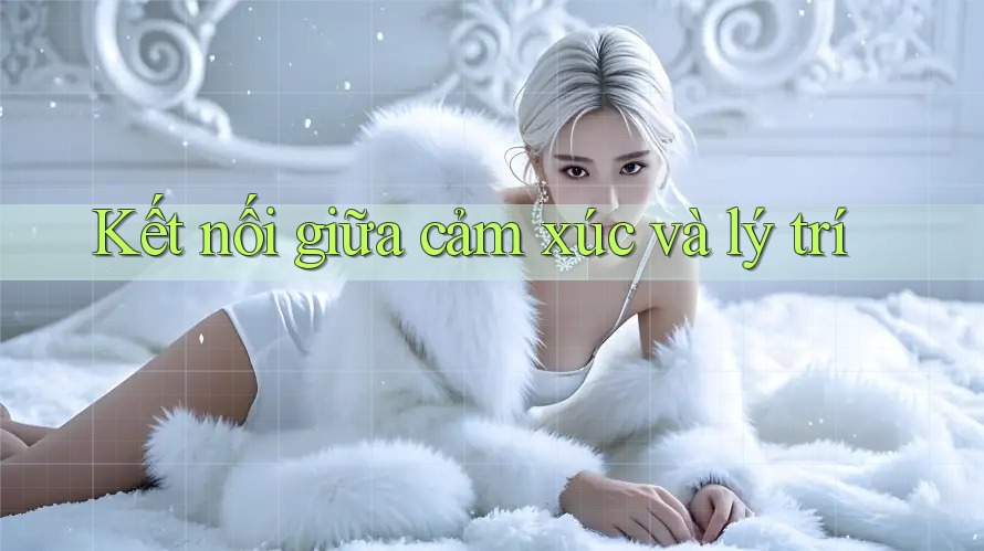 Kết nối giữa cảm xúc và lý trí