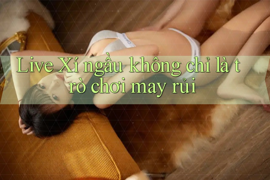 Live Xí ngầu không chỉ là trò chơi may rủi Live Xí ngầu không chỉ là trò chơi may rủi